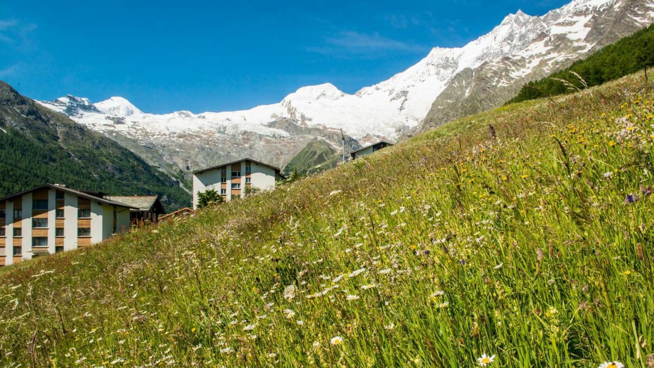 Appartement Haus Belle-Vue à Saas Fee Extérieur photo